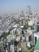 Tokyo, looking west from Toyko Tower.  Tall building is Roppongi Hills Mori Tower.  Mr. Mori is Tokyo's The Donald
