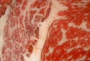 Commercial picture of Kobe beef